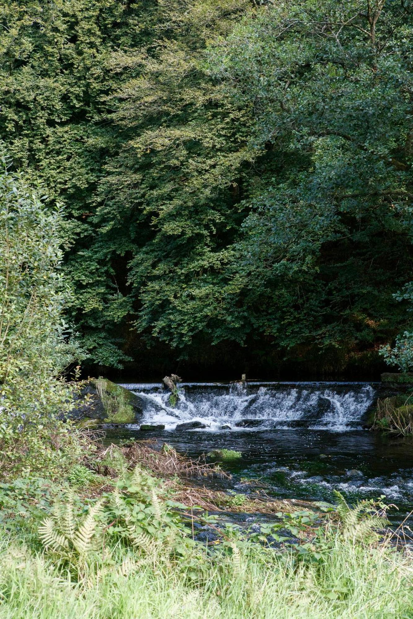 Dripsey Castle Estate Villa Cork Exteriör bild