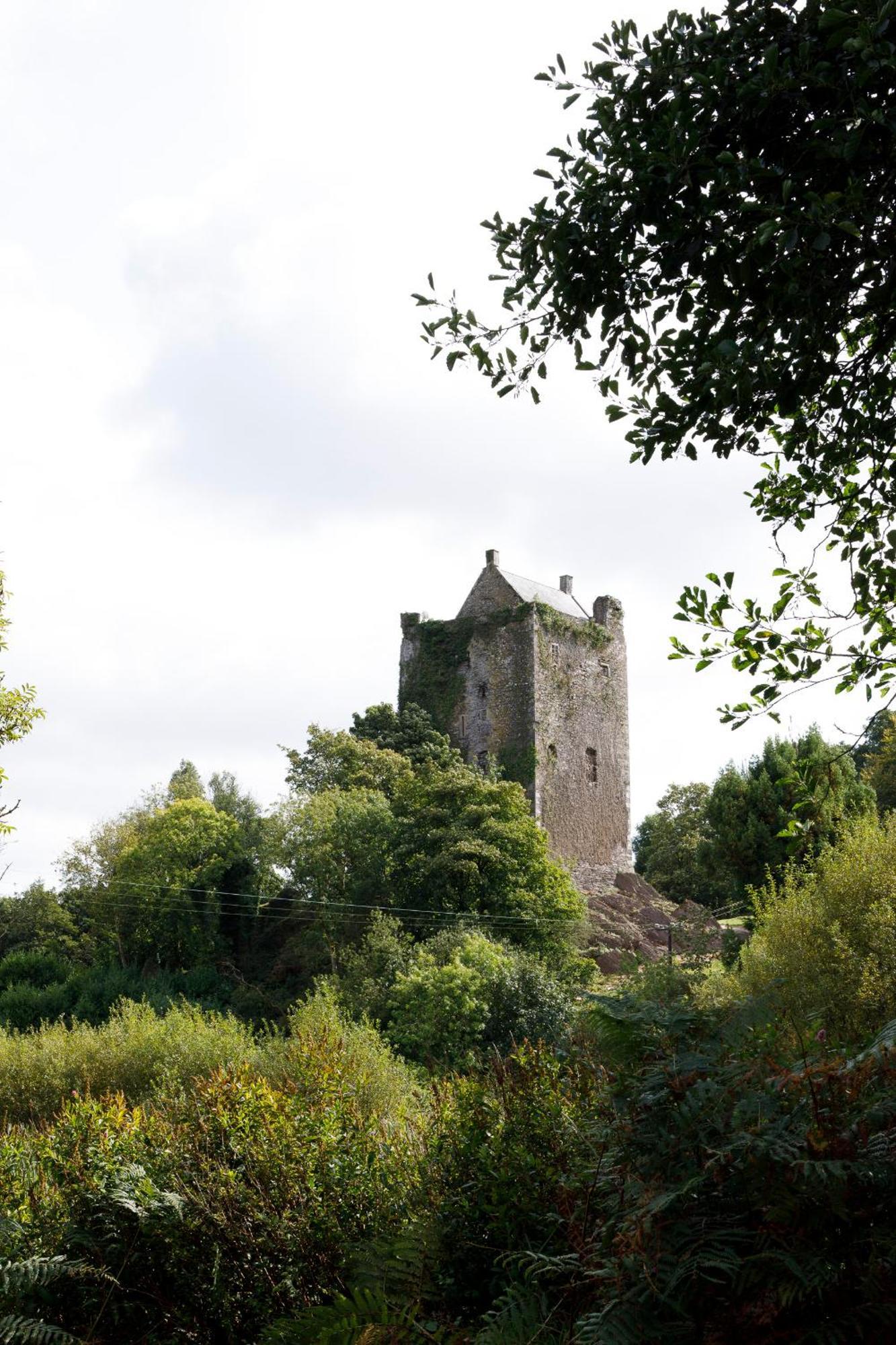 Dripsey Castle Estate Villa Cork Exteriör bild