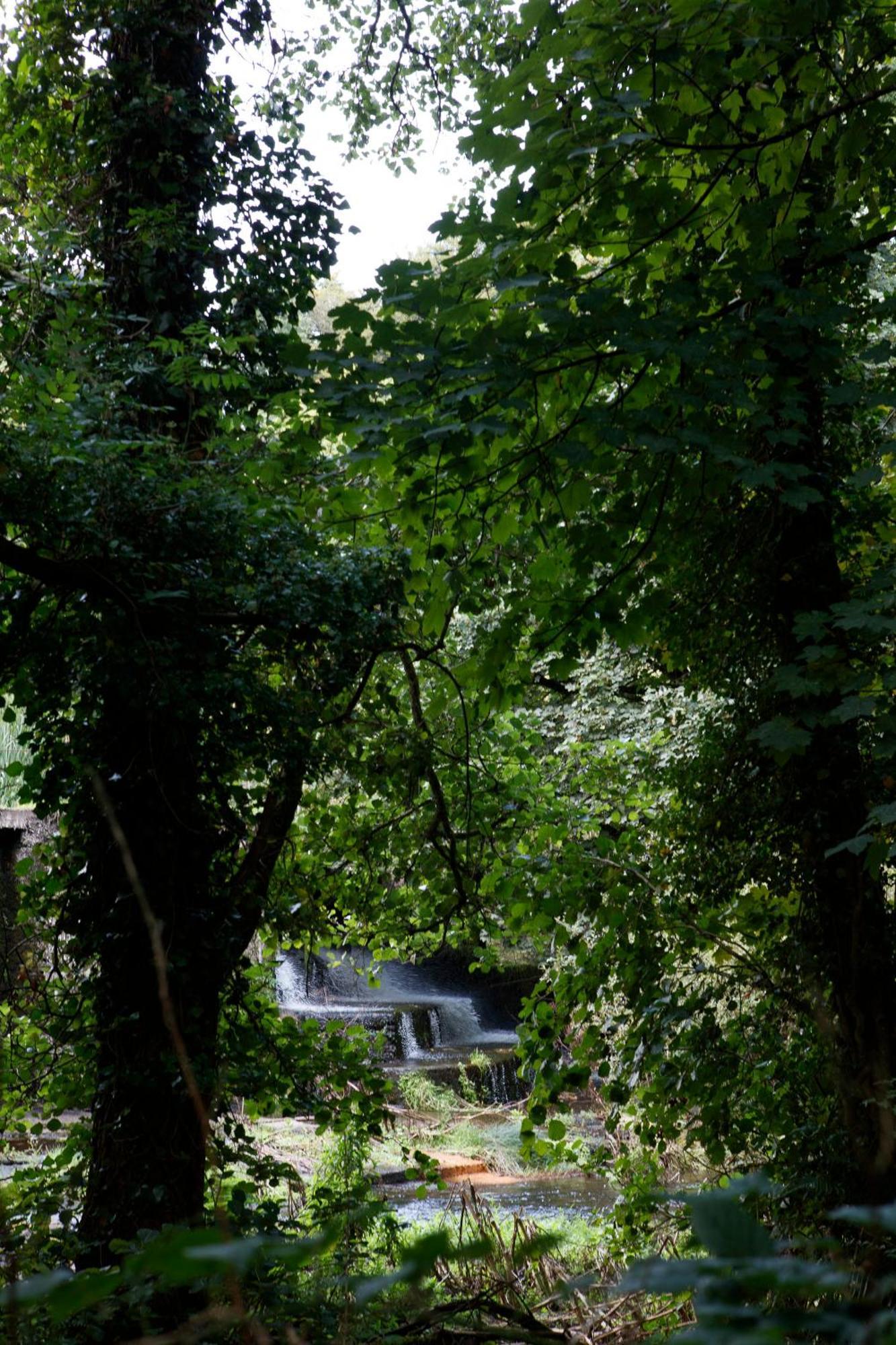 Dripsey Castle Estate Villa Cork Exteriör bild