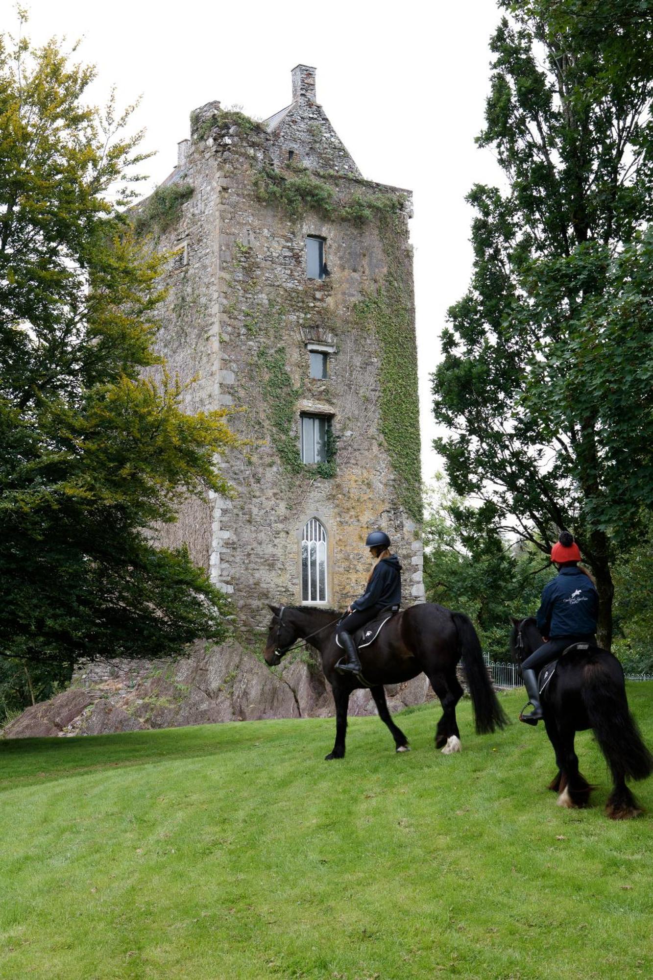 Dripsey Castle Estate Villa Cork Exteriör bild