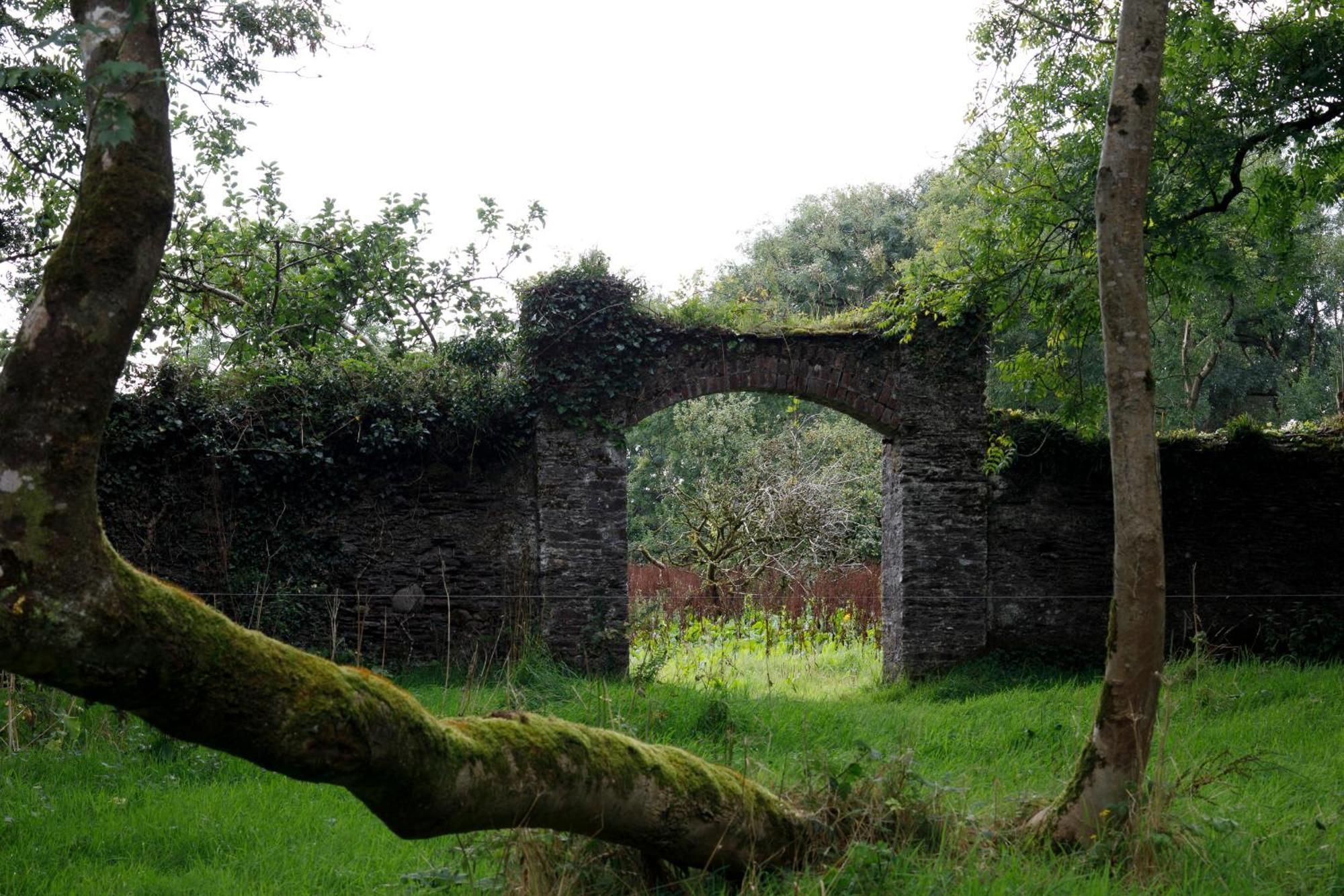 Dripsey Castle Estate Villa Cork Exteriör bild