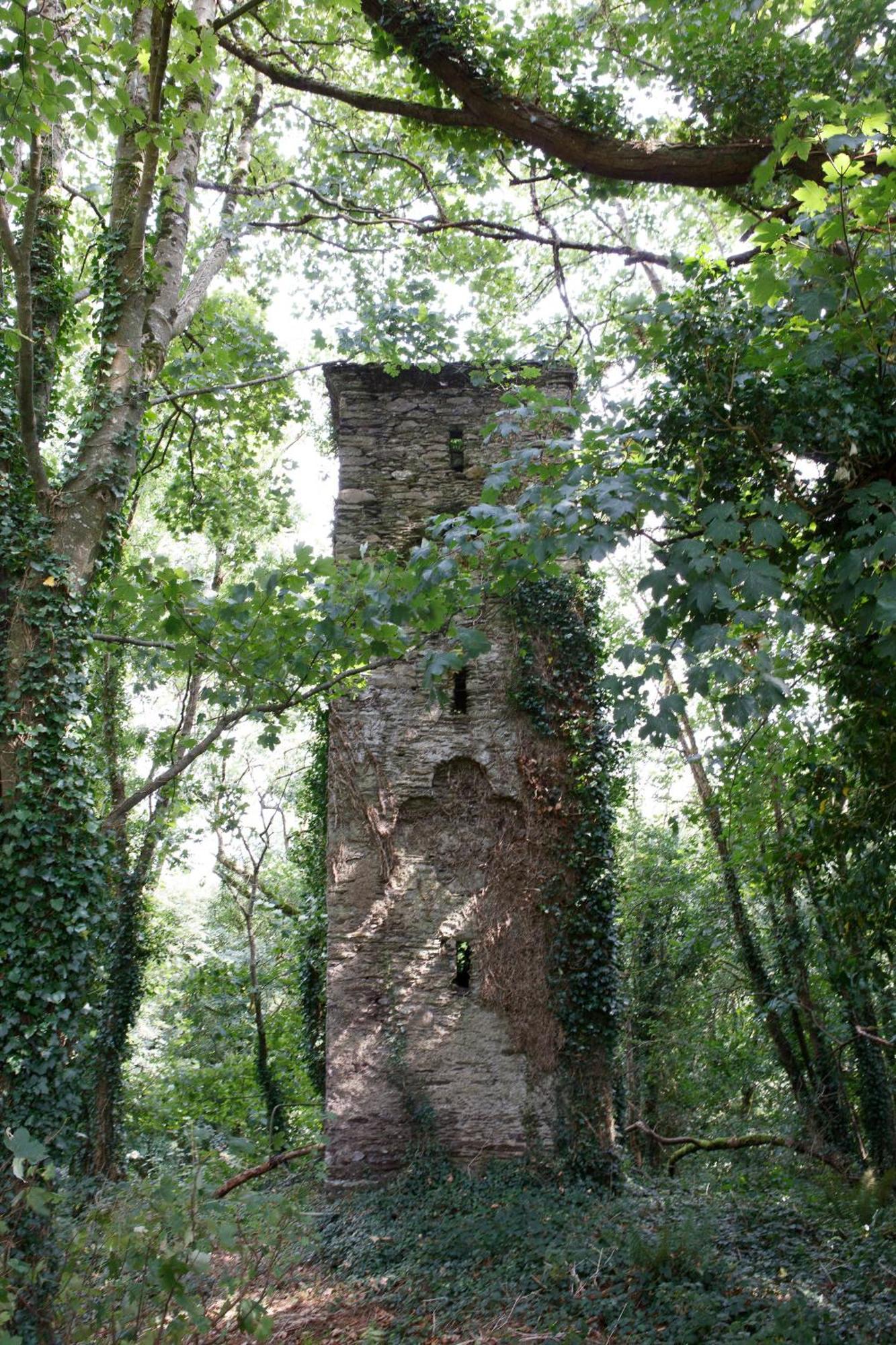 Dripsey Castle Estate Villa Cork Exteriör bild
