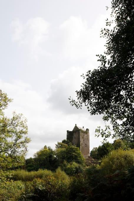 Dripsey Castle Estate Villa Cork Exteriör bild